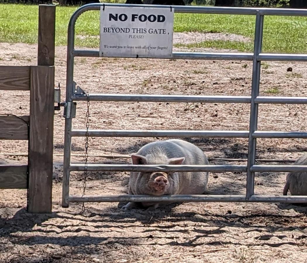 Rooterville Animal Sanctuary Melrose Exteriör bild